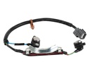 SENSOR CIGÜEÑAL (CKP) 4TERMINALES HONDA ACCORD ODYSSEY TECNOFUEL-EFI PC-133